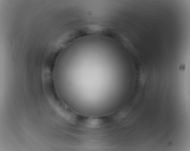 X0000114630711200910201420