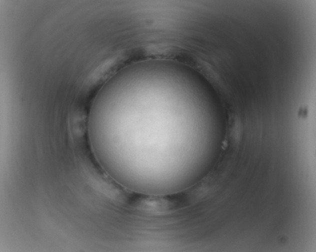 X0000114630712200910201420