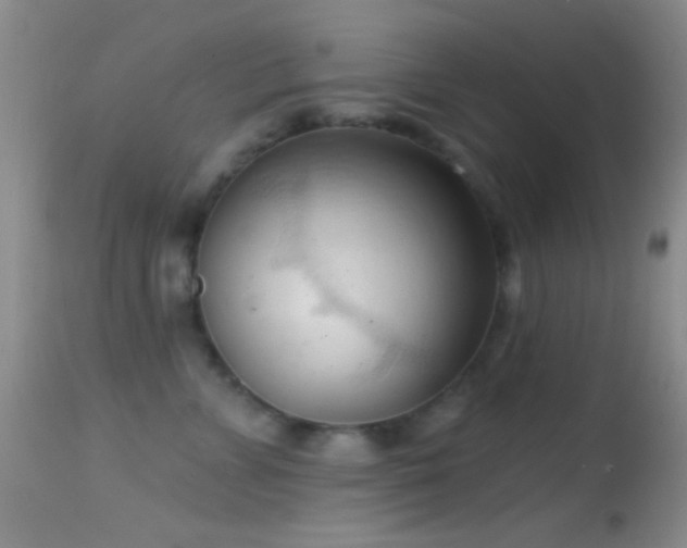 X0000114630715200910201420