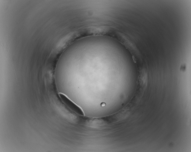 X0000114630716200910201420