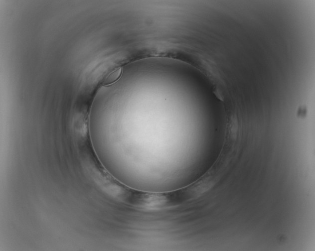 X0000114630719200910201420