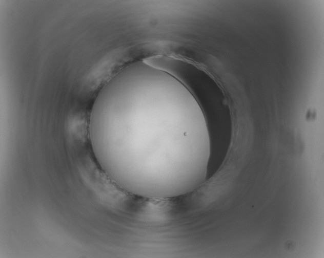 X0000114630720200910201420