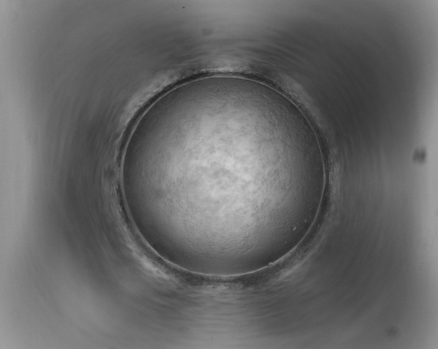 X0000114630721200910201419