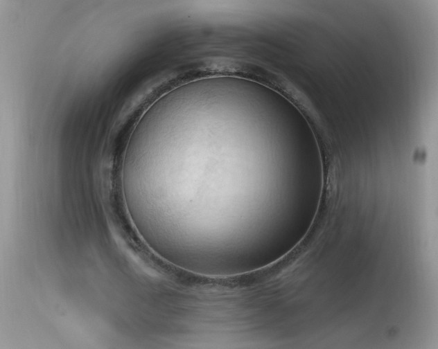 X0000114630722200910201419