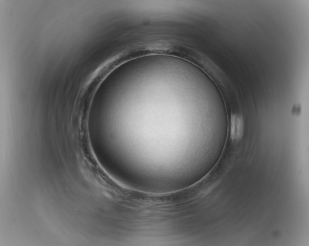 X0000114630723200910201419