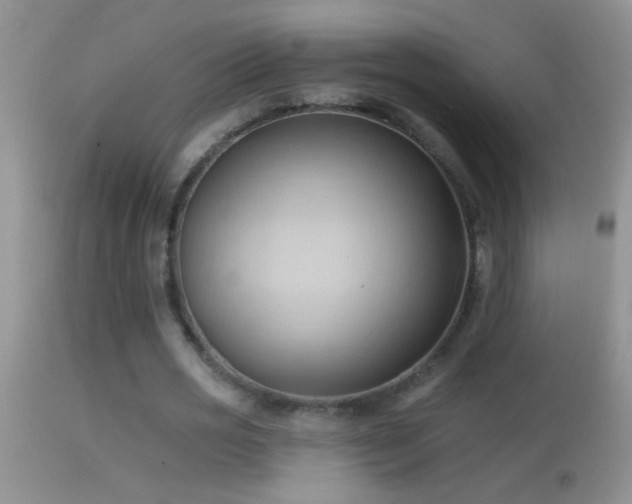 X0000114630725200910201419