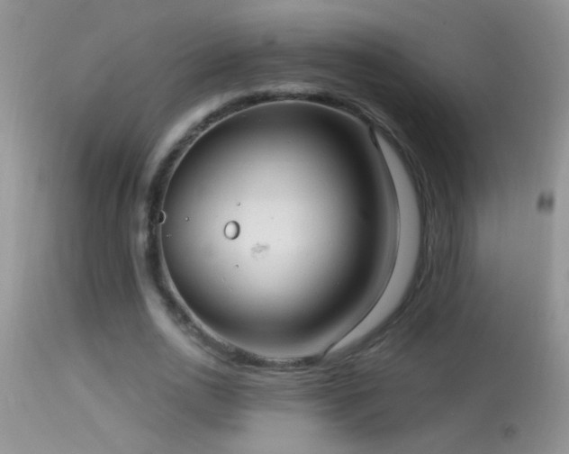 X0000114630726200910201419