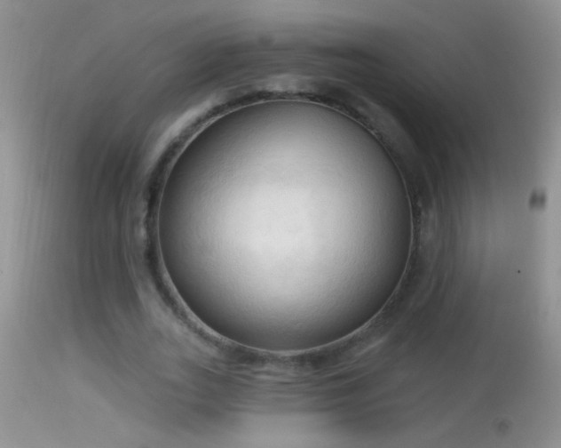 X0000114630727200910201419