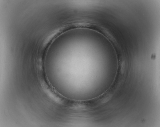 X0000114630729200910201419