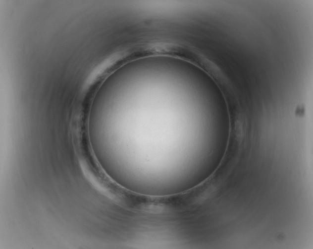 X0000114630730200910201419