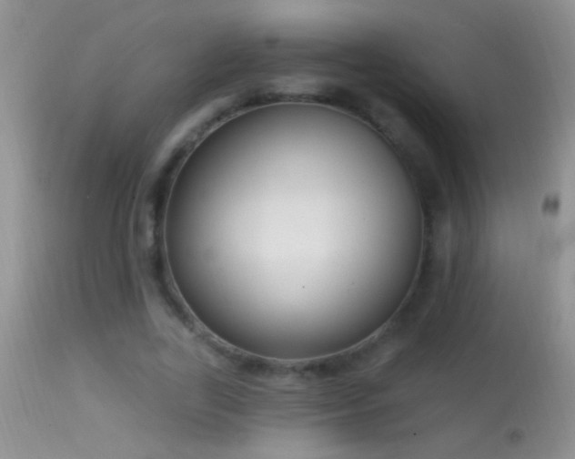 X0000114630731200910201419