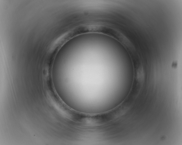 X0000114630733200910201419