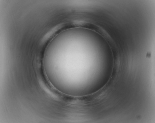 X0000114630734200910201419