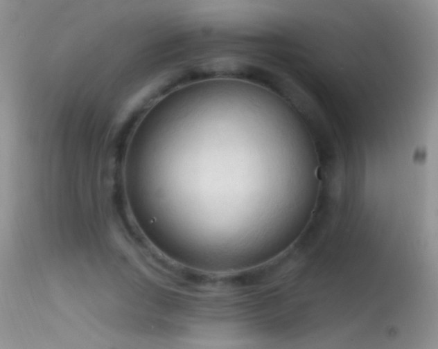 X0000114630735200910201419