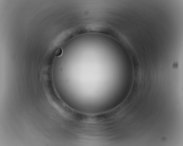 X0000114630738200910201419