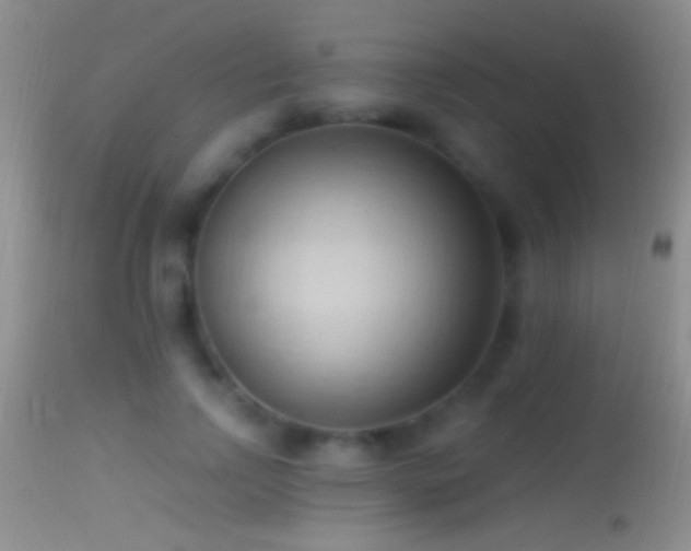 X0000114630742200910201419