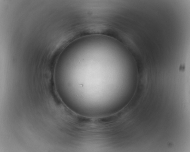 X0000114630743200910201419