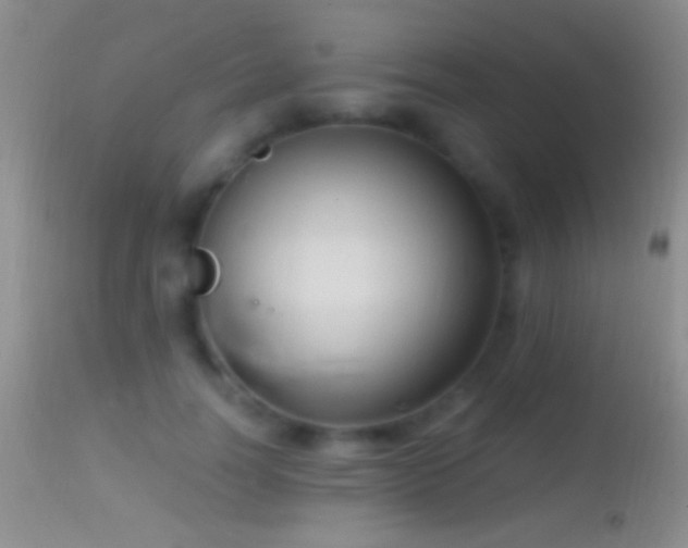 X0000114630746200910201419