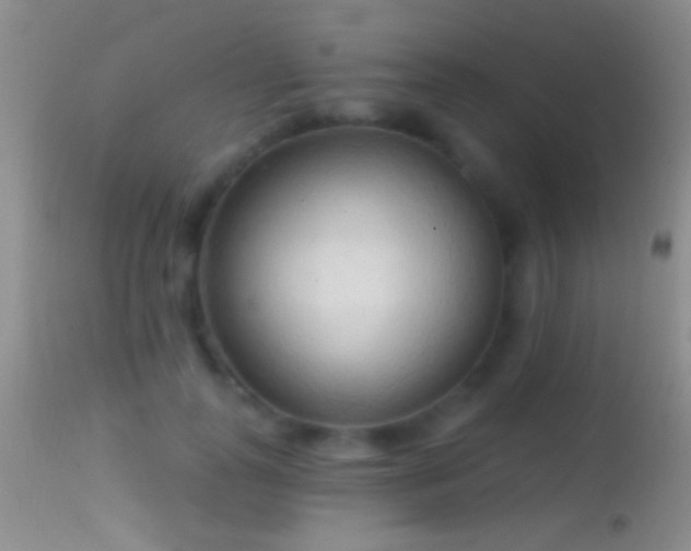 X0000114630747200910201419