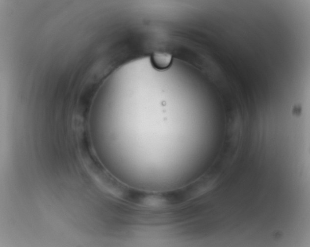 X0000114630749200910201419