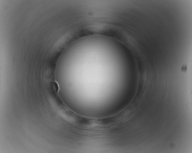 X0000114630750200910201419