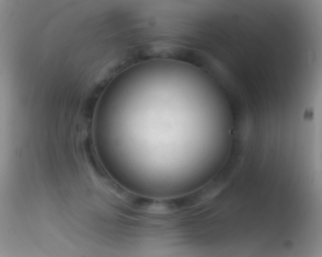 X0000114630751200910201419