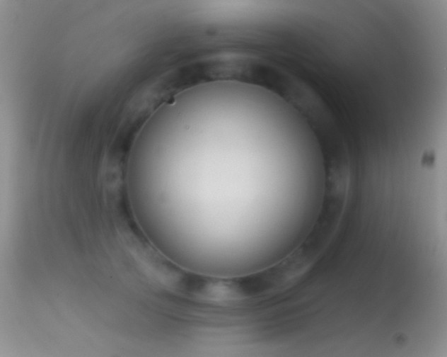 X0000114630753200910201419