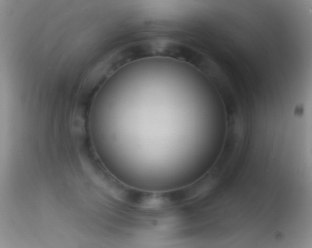 X0000114630754200910201419