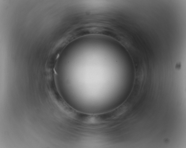 X0000114630755200910201419