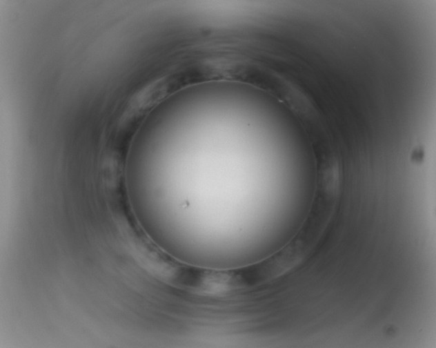 X0000114630757200910201419