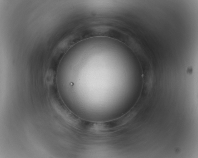 X0000114630758200910201419