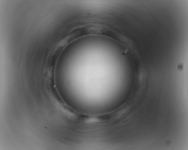 X0000114630759200910201419