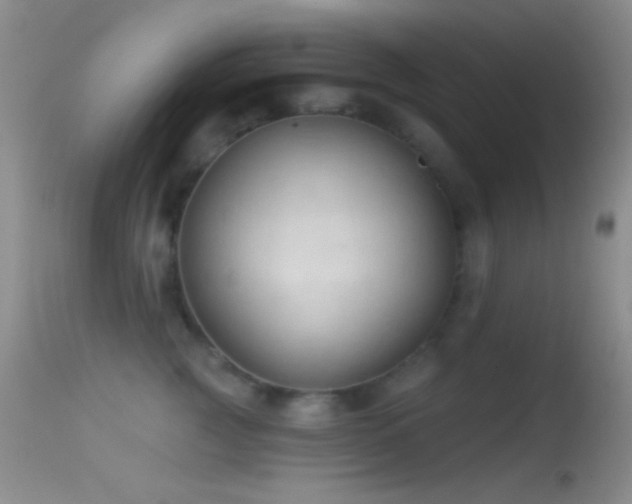 X0000114630761200910201419