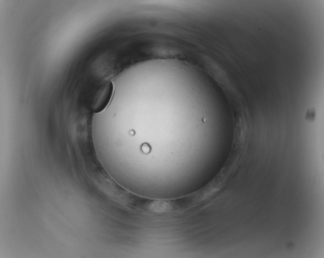 X0000114630762200910201419