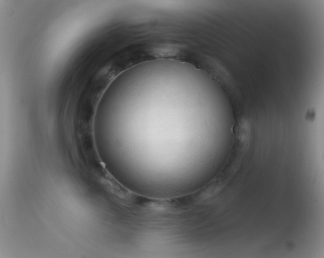 X0000114630763200910201420