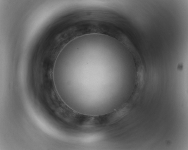 X0000114630765200910201420