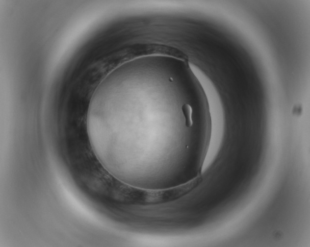 X0000114630766200910201420