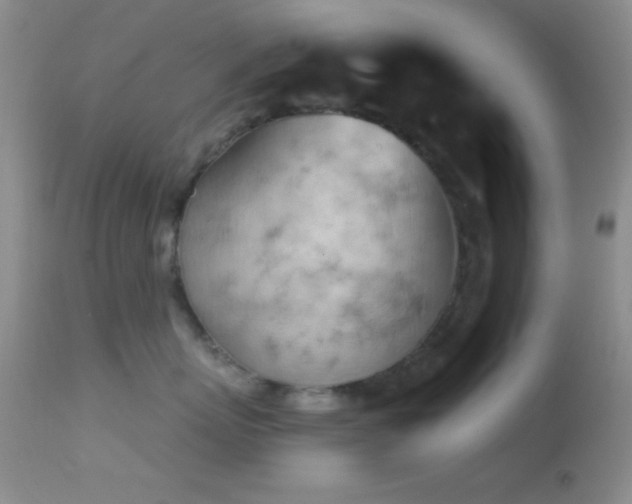 X0000114630767200910201420