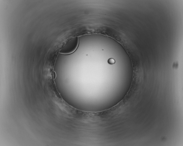 X0000114630770200910201419