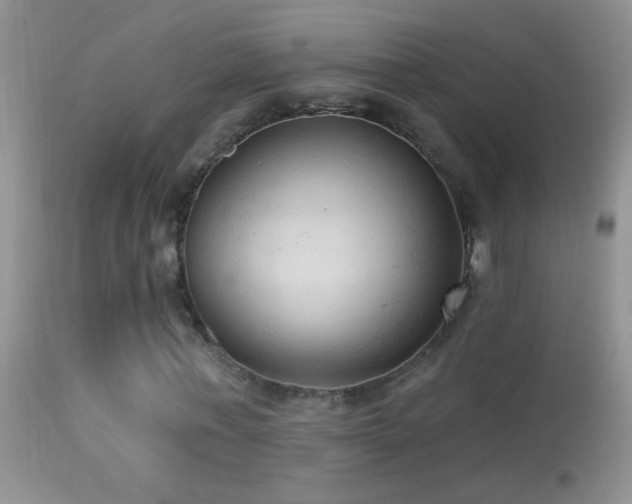 X0000114630771200910201419