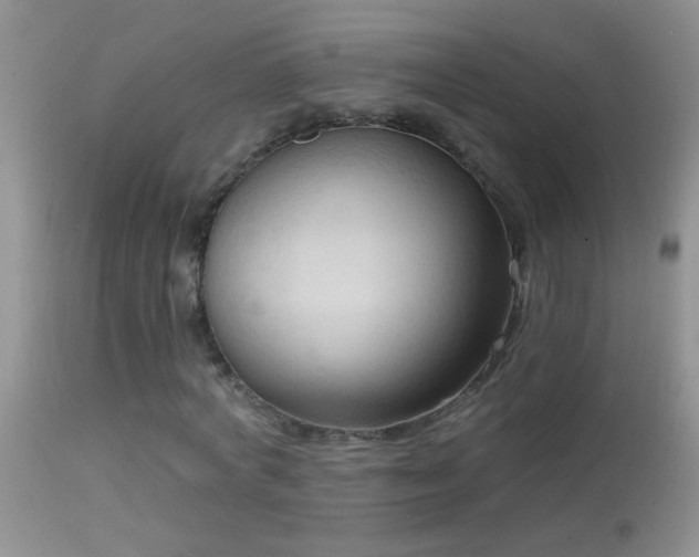 X0000114630772200910201419