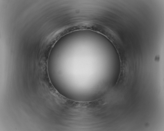 X0000114630773200910201419