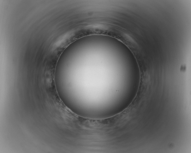 X0000114630774200910201419