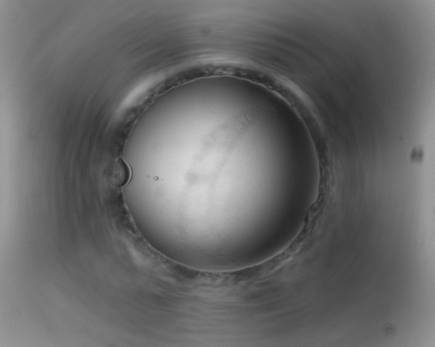 X0000114630775200910201419