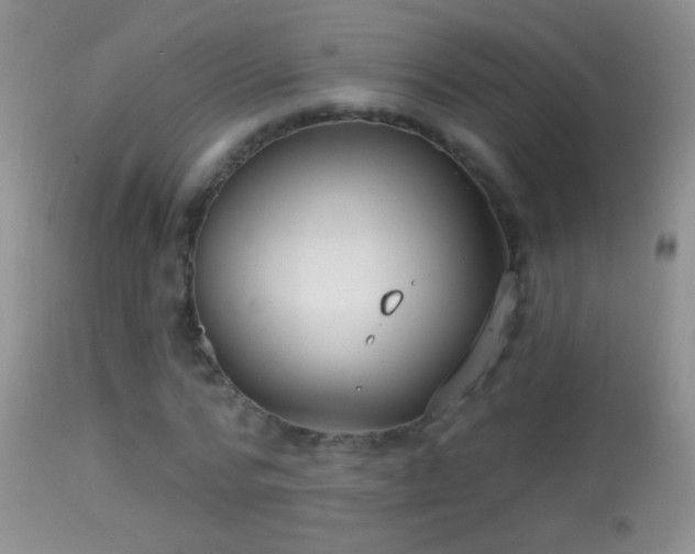 X0000114630776200910201419