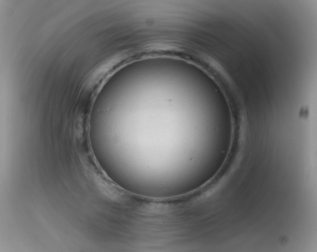 X0000114630777200910201419