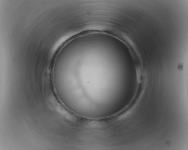 X0000114630779200910201419