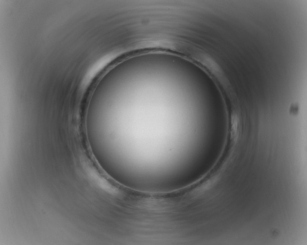 X0000114630780200910201419