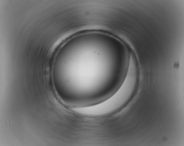 X0000114630781200910201419