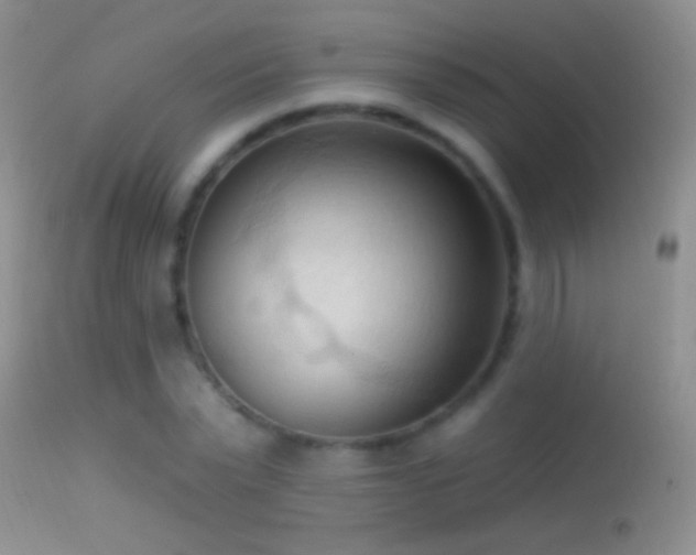 X0000114630783200910201419